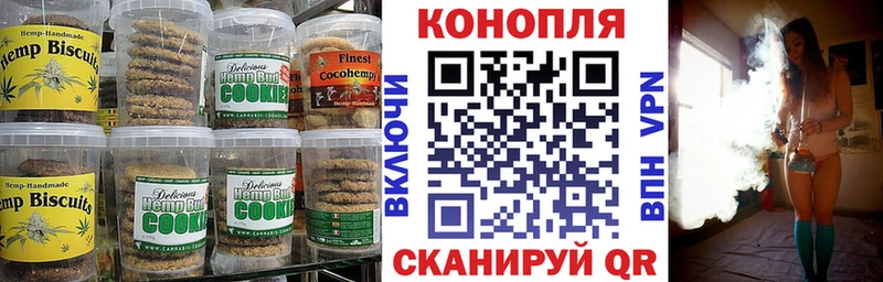 купить наркоту  Шатура  Cannafood марихуана 