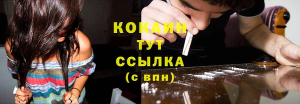 spice Алзамай
