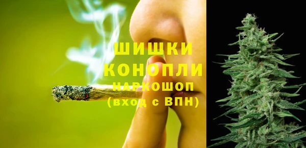spice Алзамай