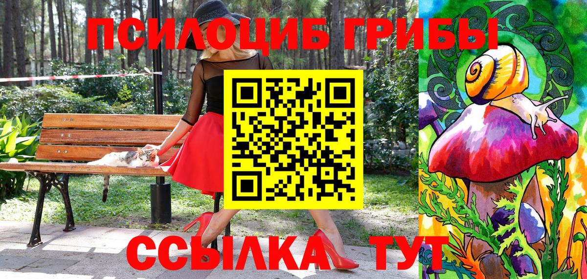 Шатура  Галлюциногенные грибы мухоморы  Вход с VPN 